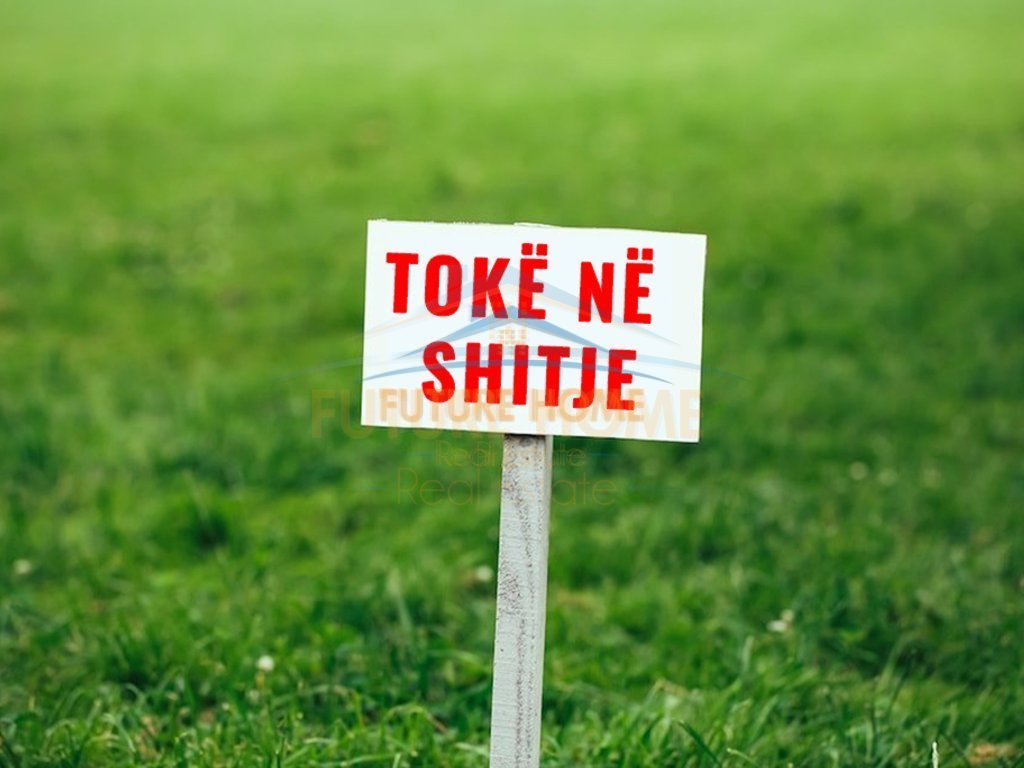 Shiten, 2 Toka, Shelcan, Elbasan